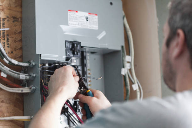 Best Electrical Panel Upgrades  in Napoleon, OH